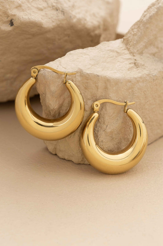 Annulus Hoop Earrings