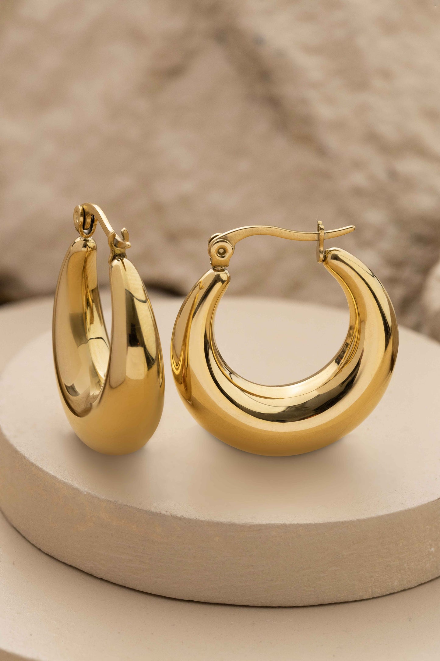 Annulus Hoop Earrings