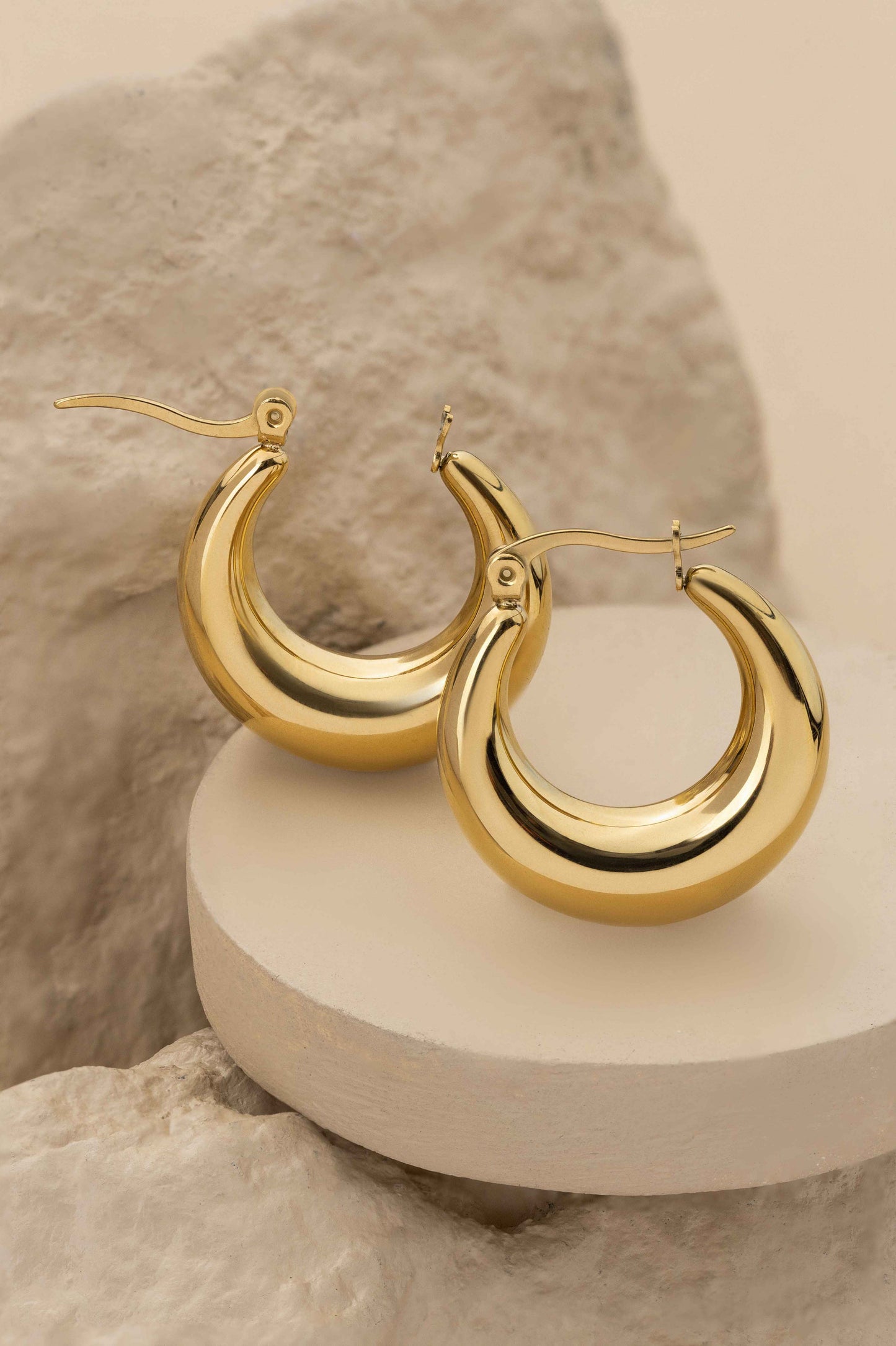 Annulus Hoop Earrings